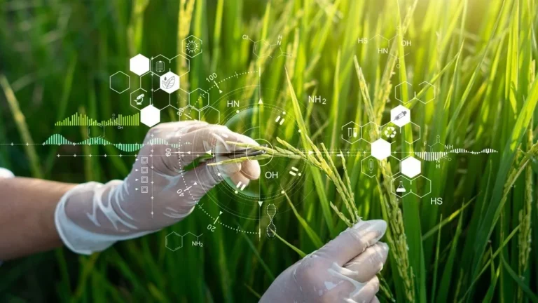 Understanding Eggene: The Future of Nutrition and Agriculture