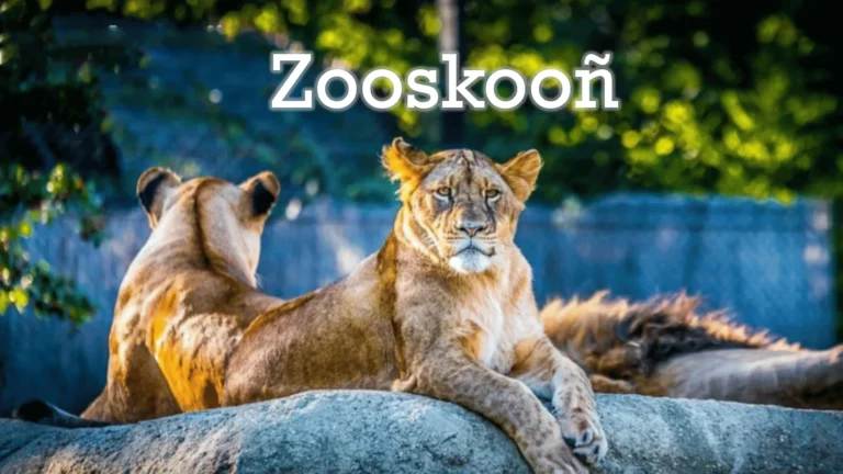 Zooskooñ: A Fascinating Exploration of a Unique Concept