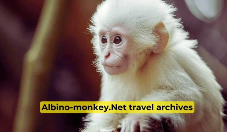 Exploring the Wonders of Albino-Monkey.Net Travel Archives